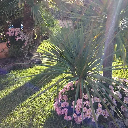 Bed & Breakfast Papale Gravina di Catania