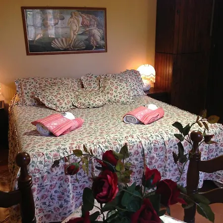 Bed & Breakfast Papale